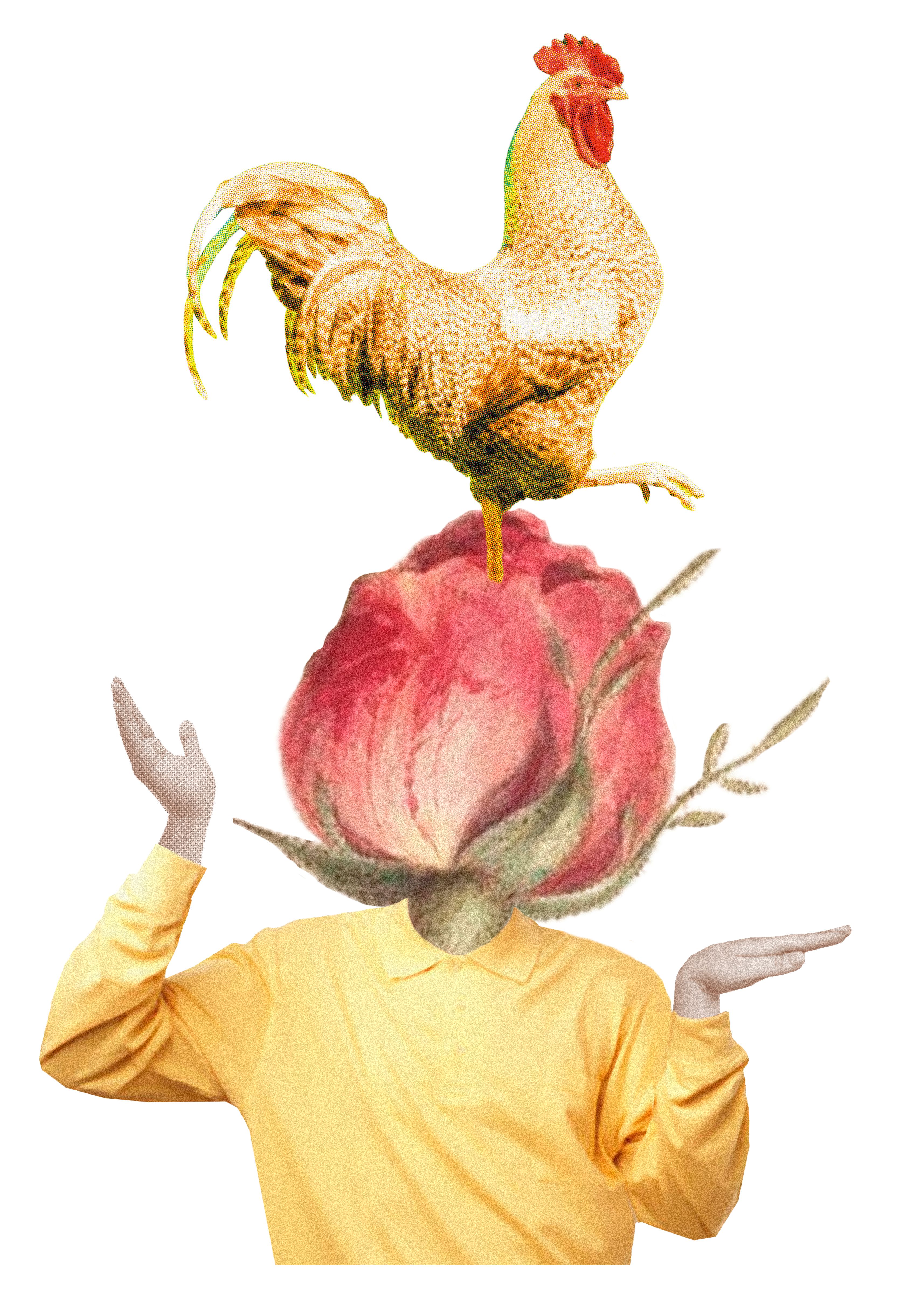 image_MR_desobeiR.jpg
